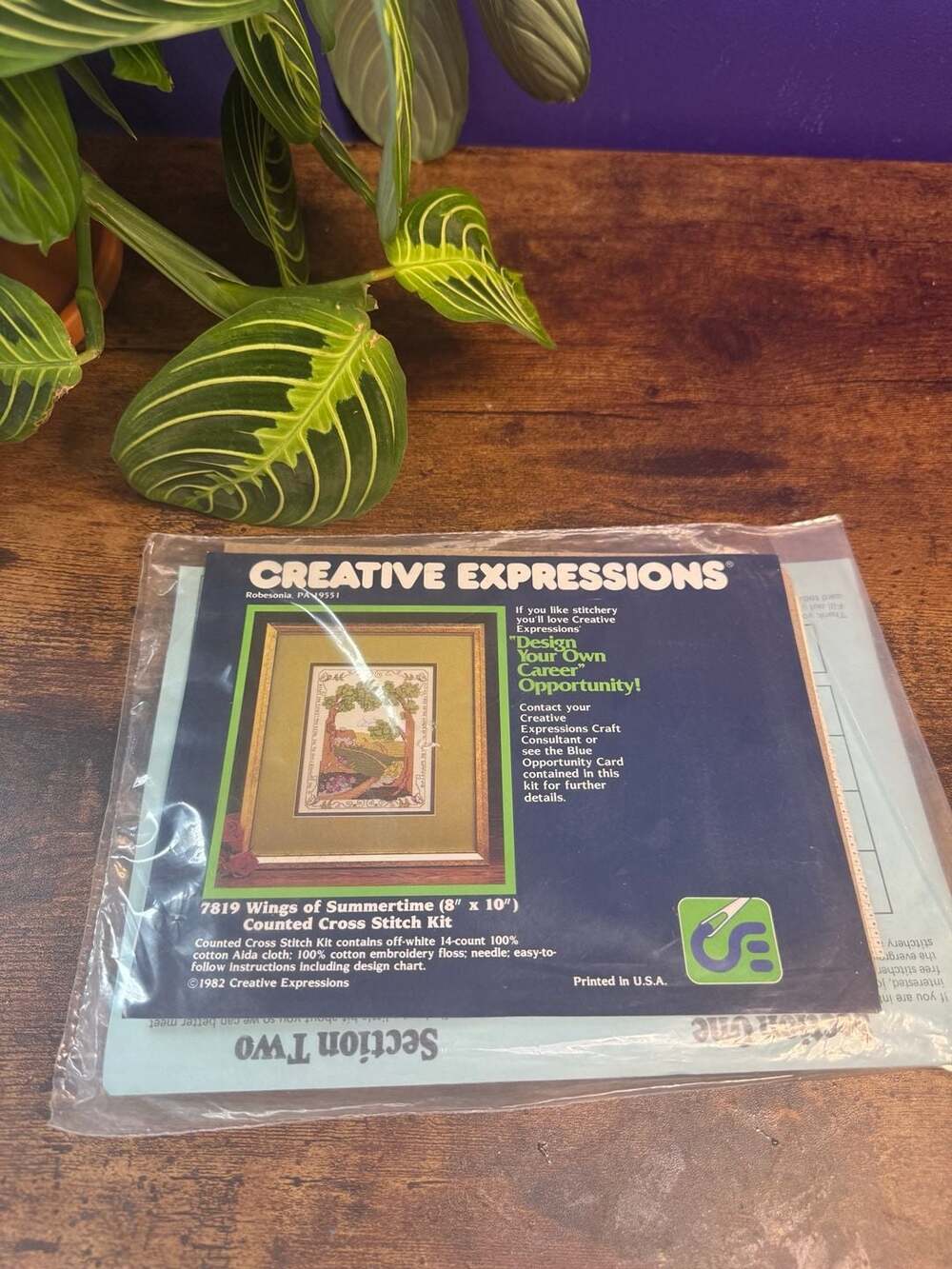 Vintage 1982 Creative Expressions Wings of Summertime #7819 Cross Stitch Kit